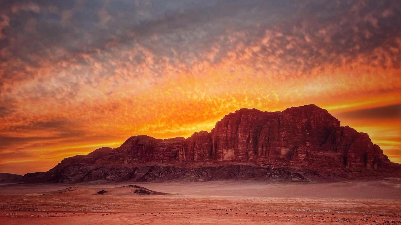 Rum Magic Nights Wadi Rum Luaran gambar