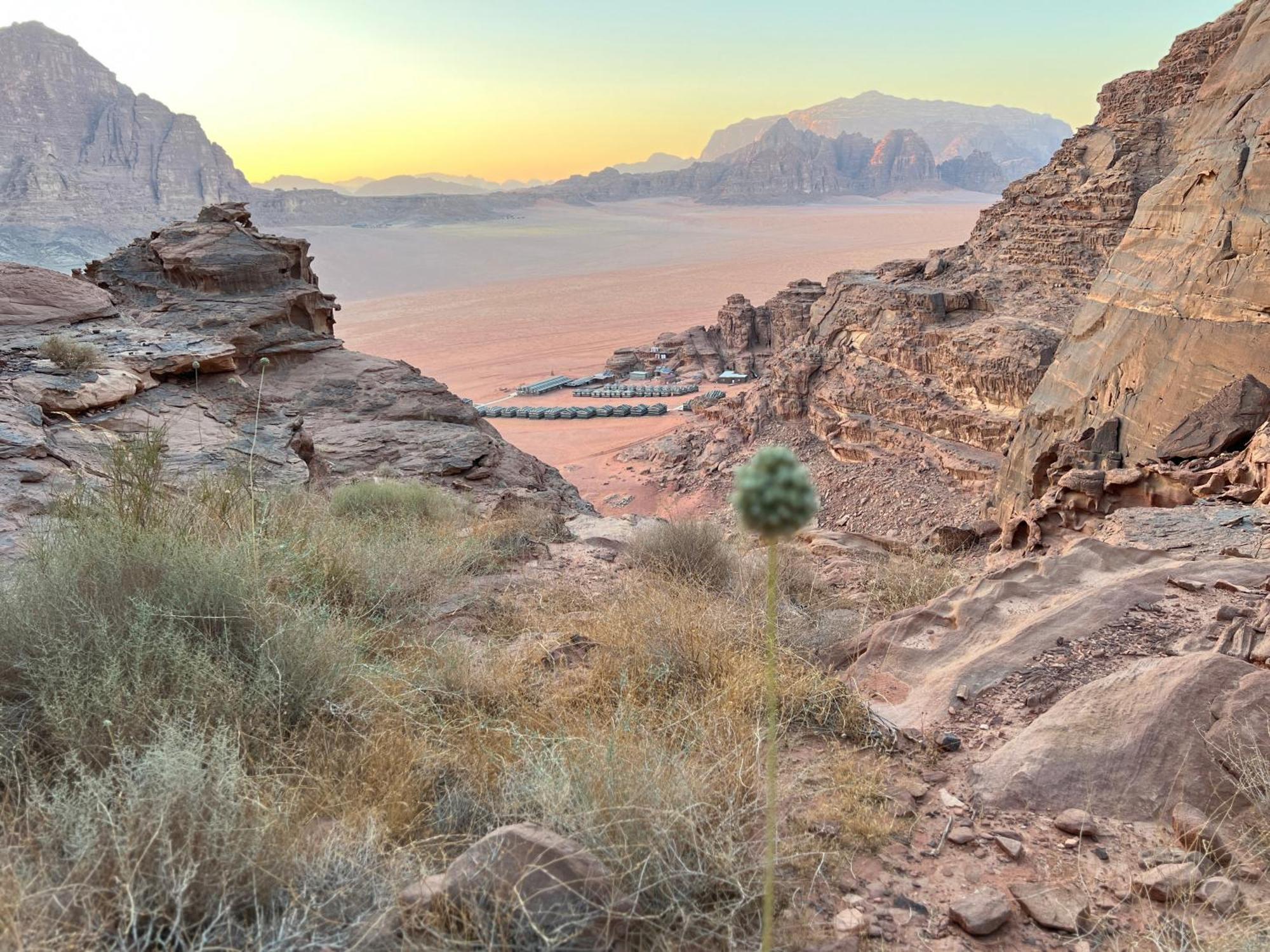 Rum Magic Nights Wadi Rum Luaran gambar